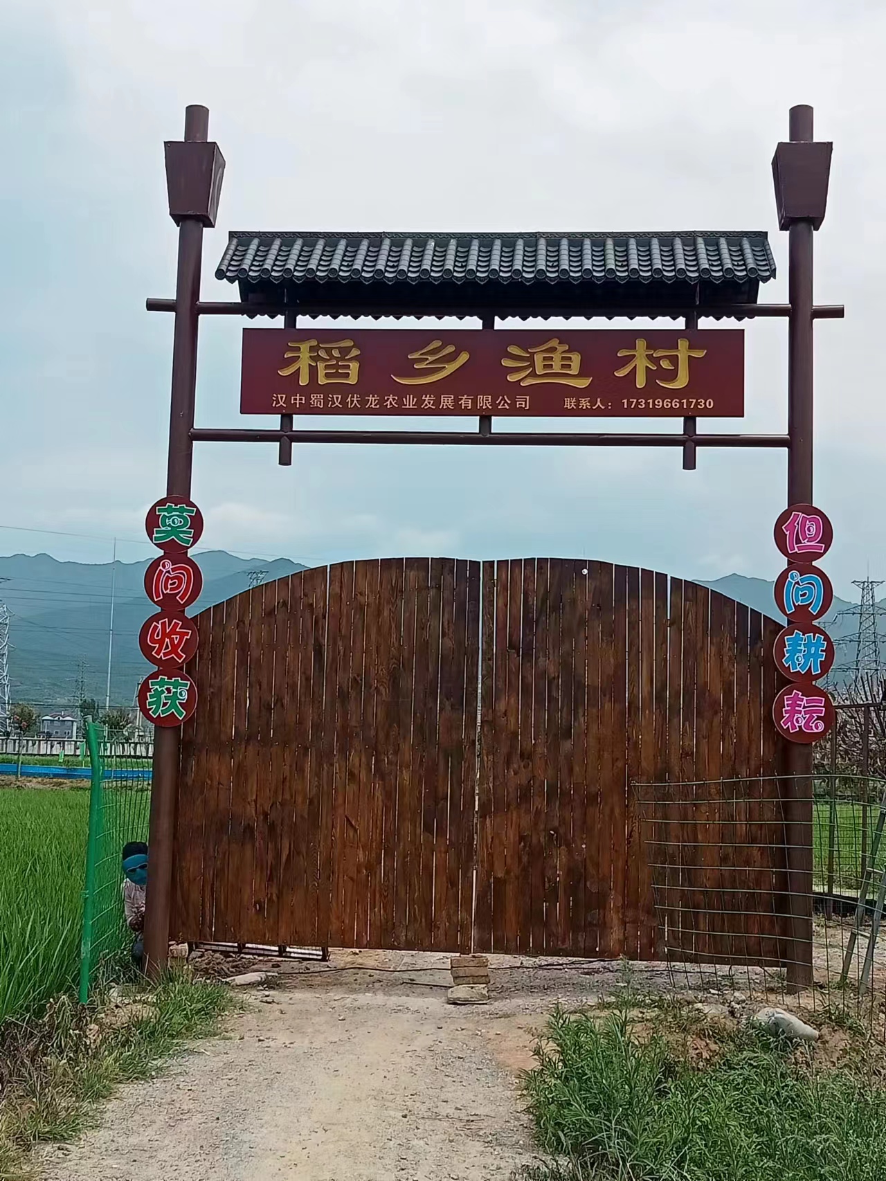 案例展示